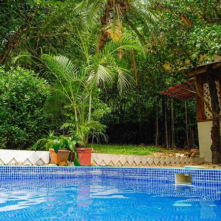 Hacienda Sarah Villa Носара Екстериор снимка